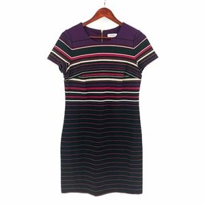 Calvin Klein Sz 6 Stretch Multi-Color Stripe Dress